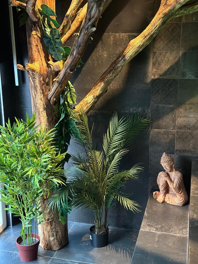 Suite Marie Verviers Luaran gambar